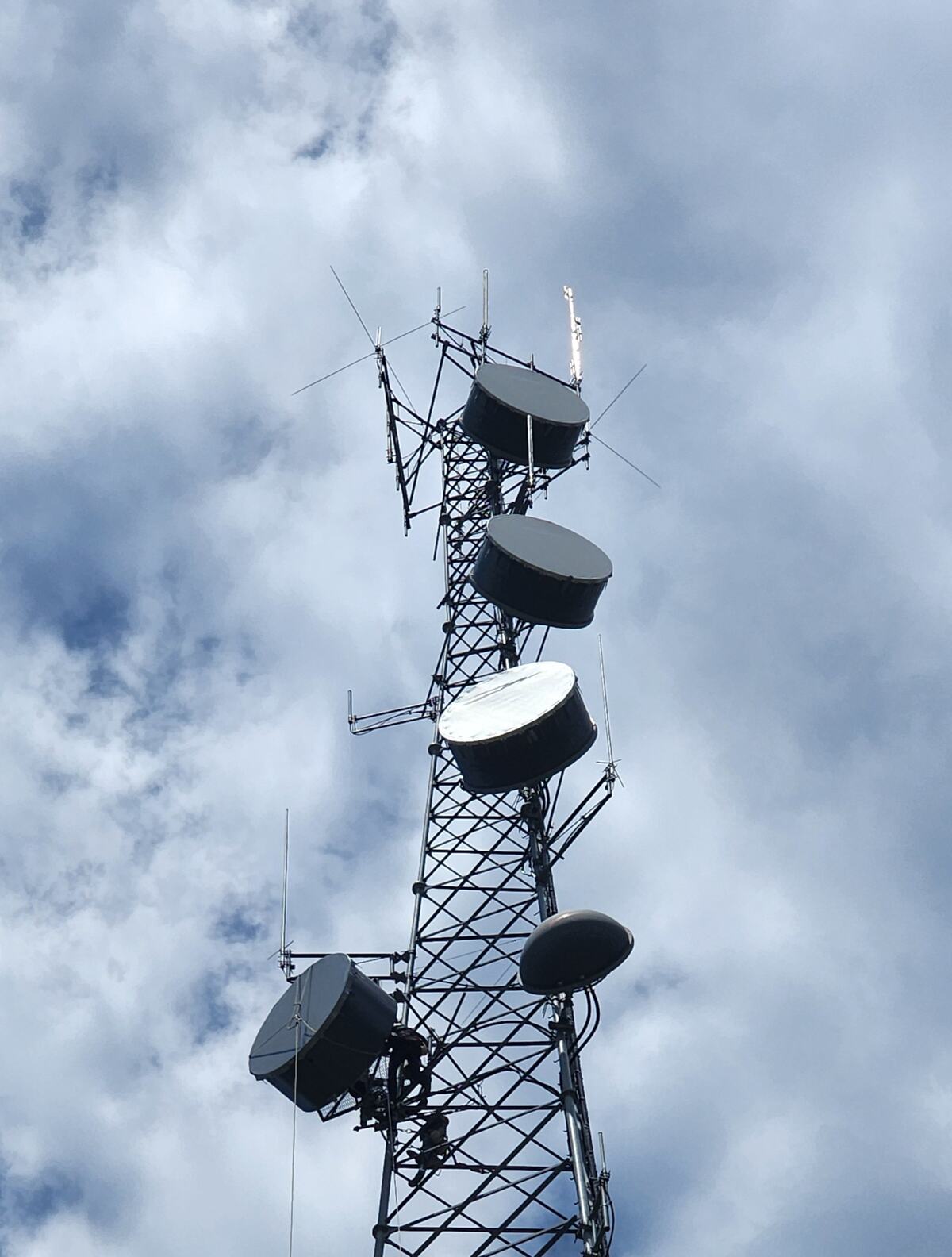 Stacked microwave dishes on a lattice tower for backhaul