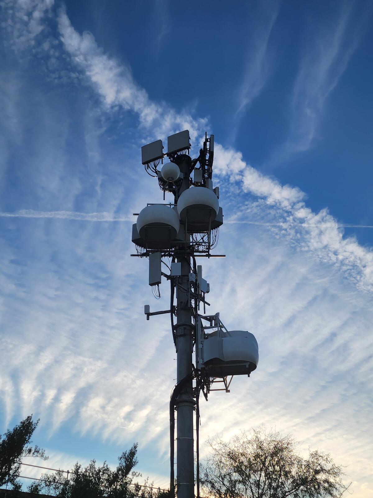 Monopole loaded with microwave radomes and panel antennas